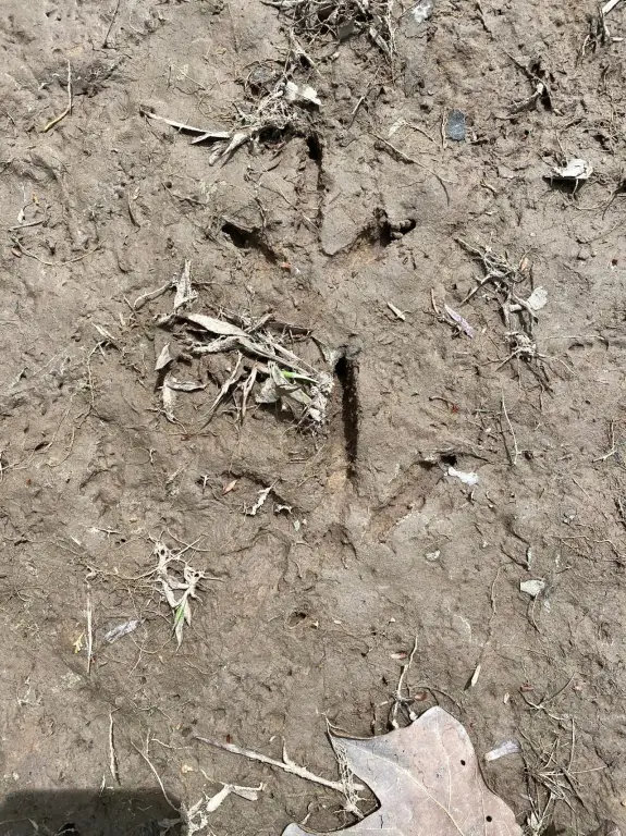 Picture 28