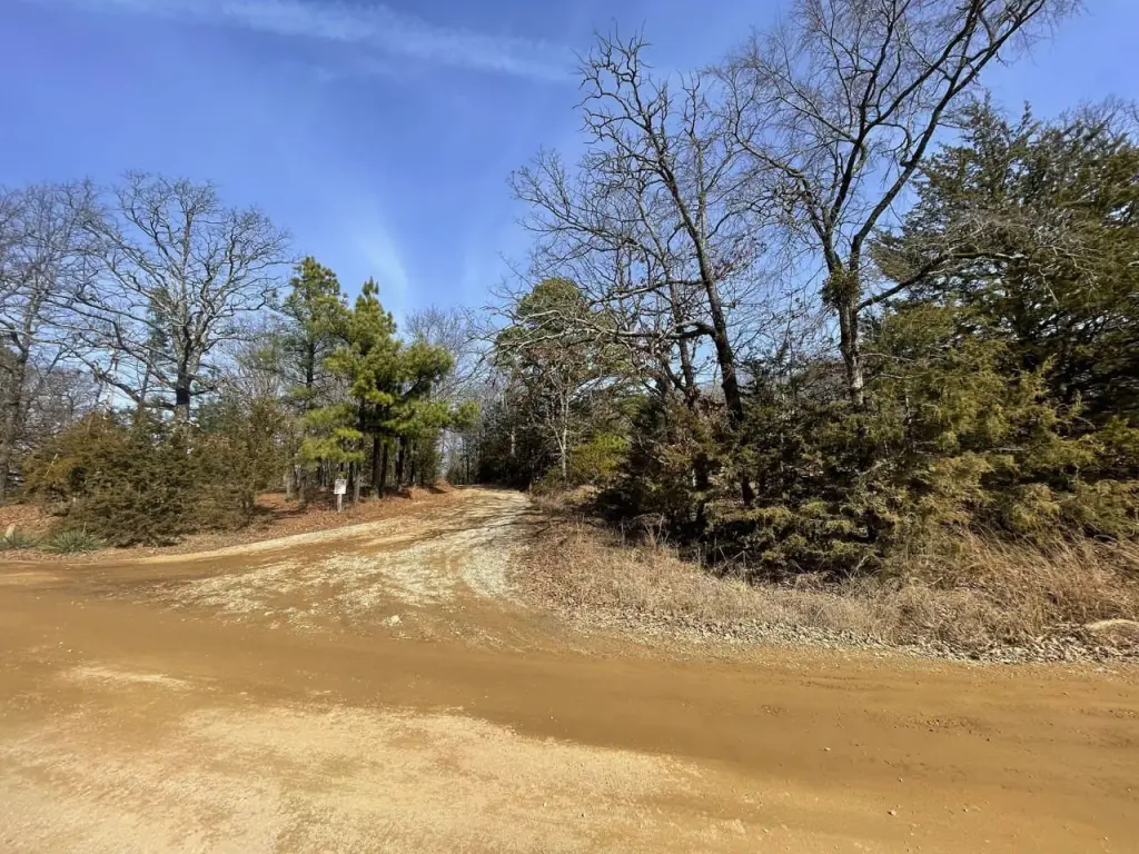 Picture 25