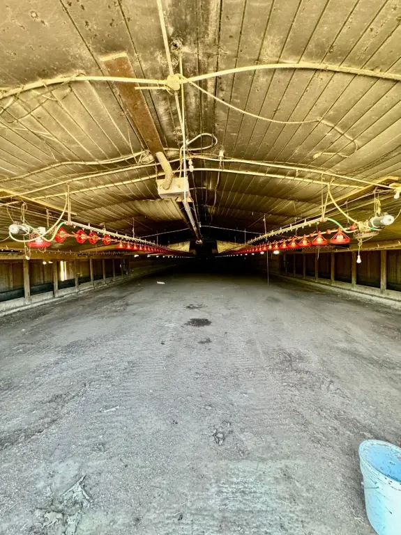 Picture 30