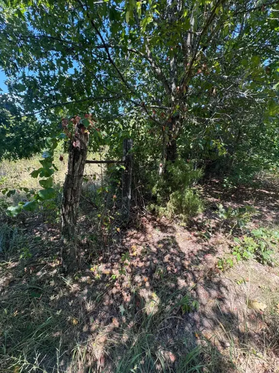 Picture 28