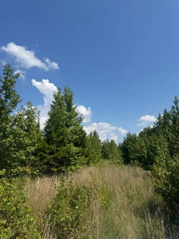 Picture 26