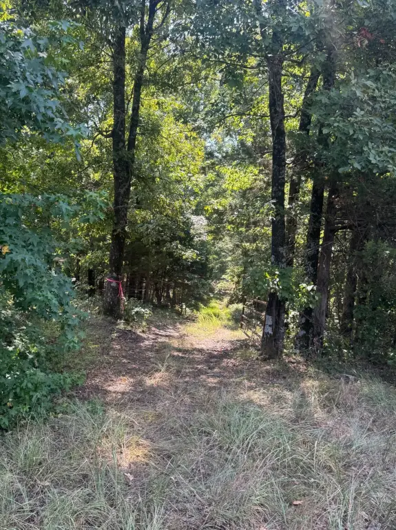 Picture 22