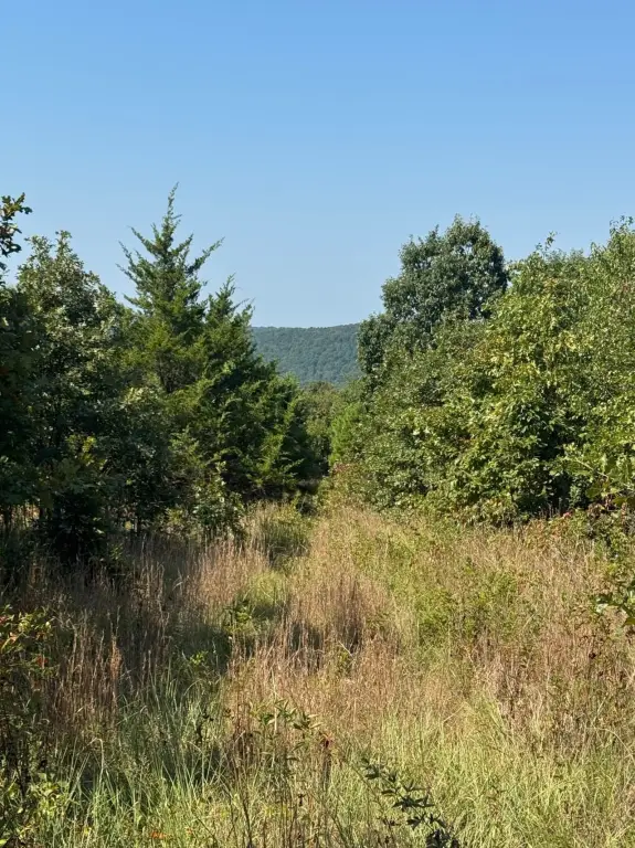 Picture 2
