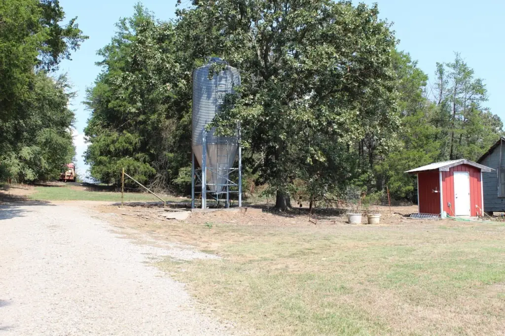 Picture 20