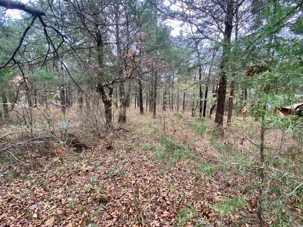 Picture 25