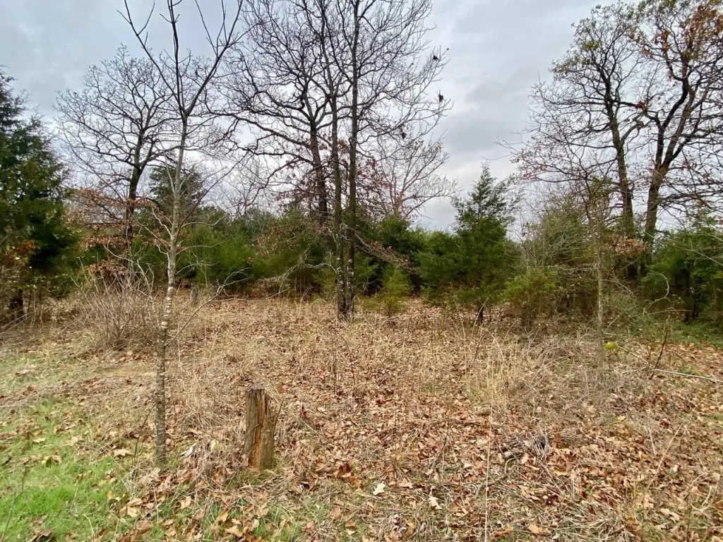 Picture 18