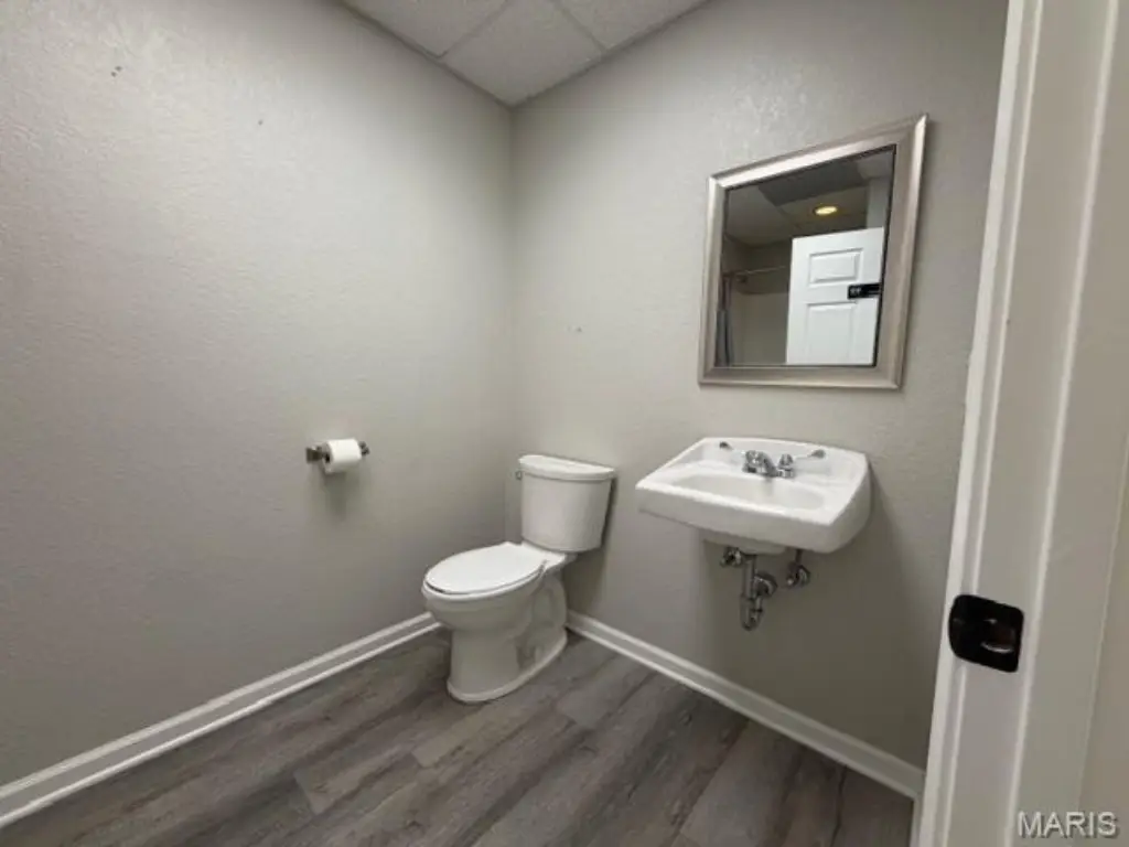 Picture 11