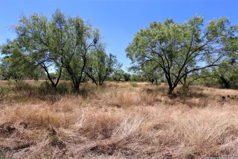 Residential Land in Devine, TX