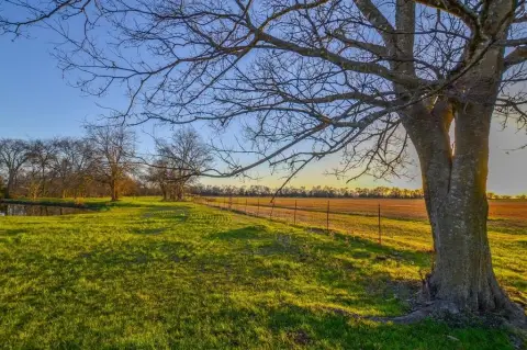 Texas Ranch with Highway Frontage