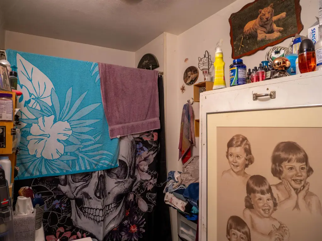 Picture 7