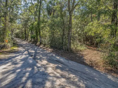 Crawfordville Wooded Residential Lot