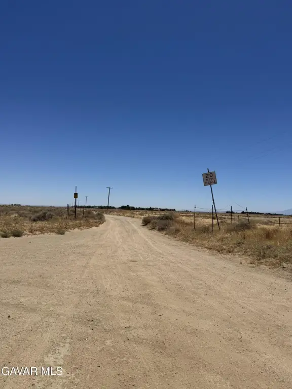 Picture 24