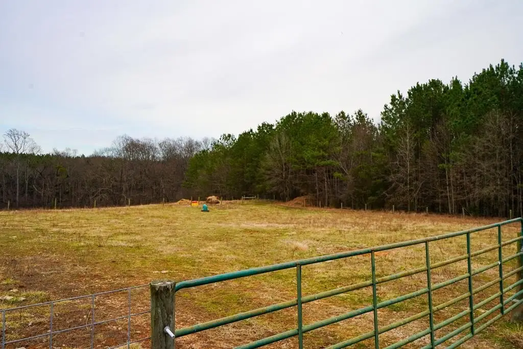 Picture 11