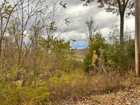 Gainesboro, TN Wooded Acreage