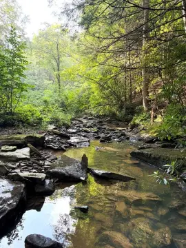 Tennessee Land Near Big South Fork