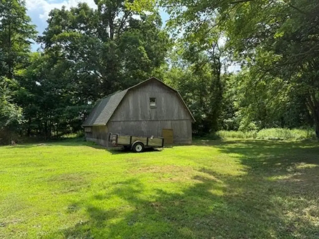 Picture 4
