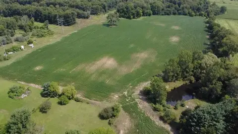 Tillable Farmland with Woods and Pond