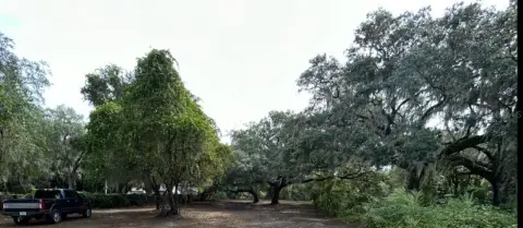 Lakeside Land Ready for Development