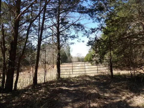 80 Acres Hunting Land in Atoka