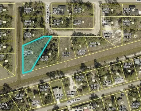 Lehigh Acres Commercial Lot