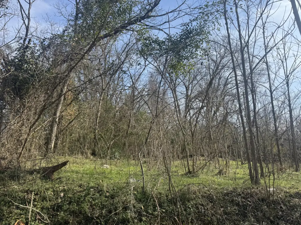 Picture 2