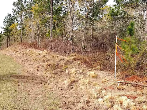 Wooded Acreage in Aiken County