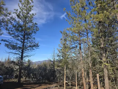Residential Land in Beatty, Oregon