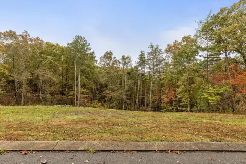 Dunlap, TN Homesite with Views