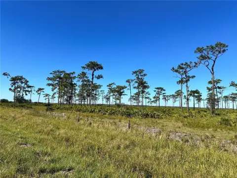 20+ Acre Fort Meade Land