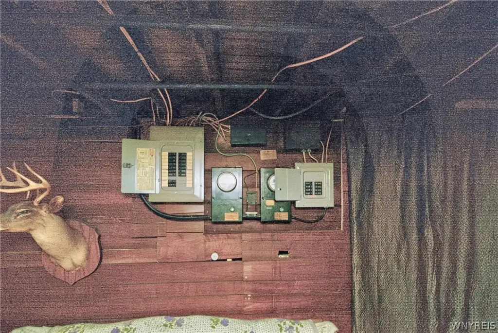 Picture 41