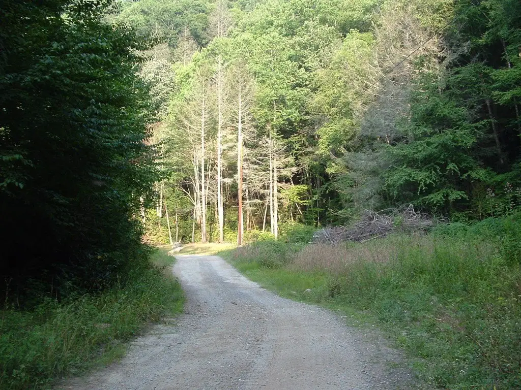 Picture 4