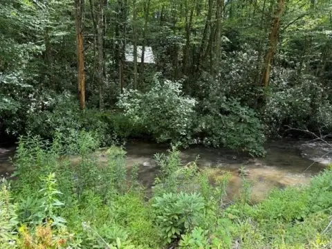 Creek Front Property in ROBBINSVILLE