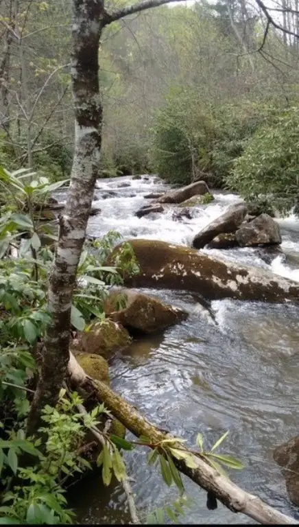 Picture 2