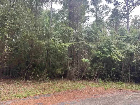 Saraland Land Near I-65