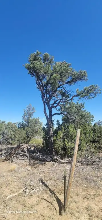 Picture 42