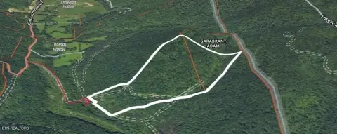 Unrestricted Land Bordering National Forest