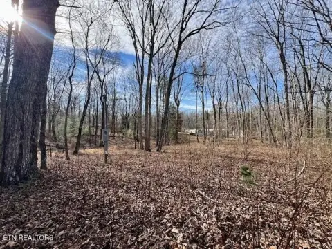 Vacant Land in Fairfield Glade
