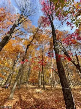 Residential Land in Stillwater Township
