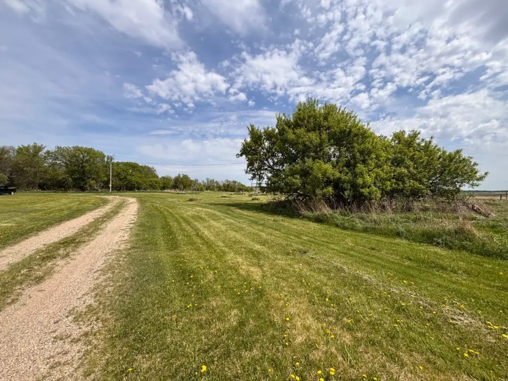 Picture 31