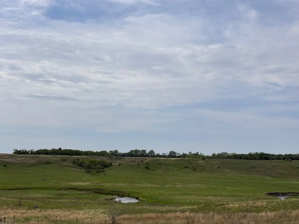 Picture 39