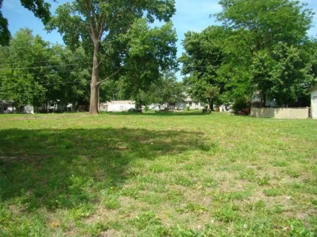 Picture 3