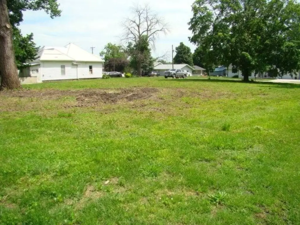 Picture 5