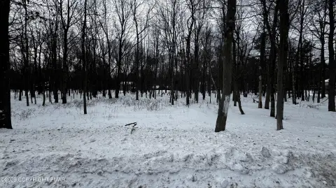 Residential Lot in Towamensing Trails