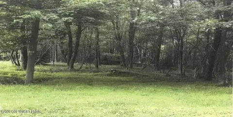 Wooded Lot in Stillwater Estates