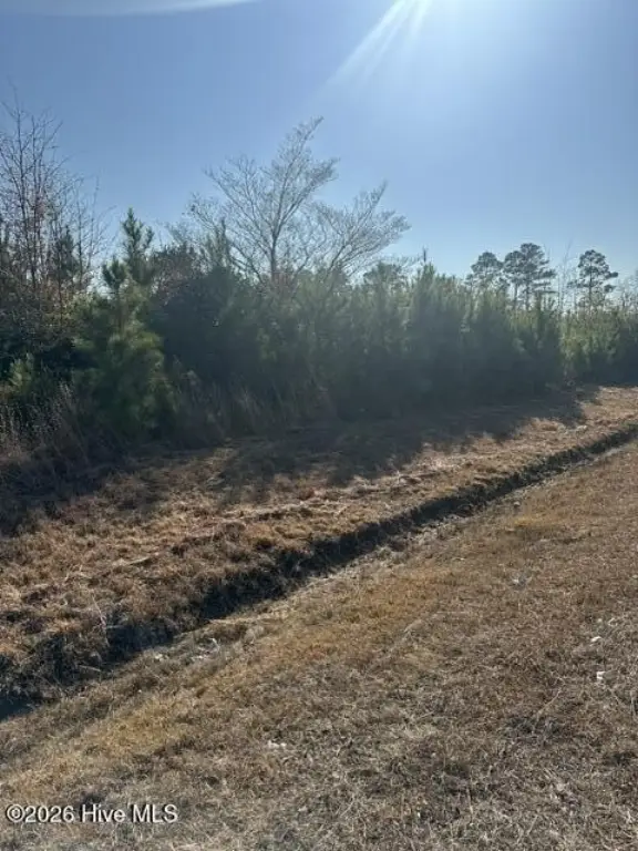 Picture 2