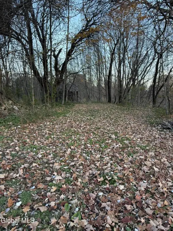 Picture 7