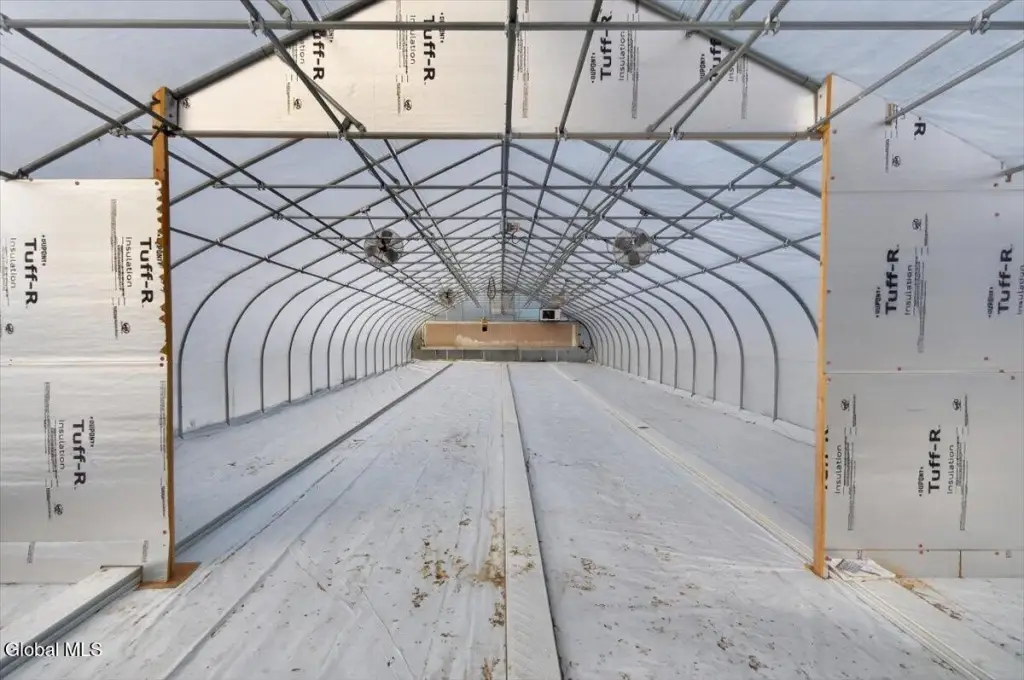 Picture 29