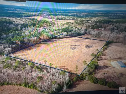 16.26 Acres in McLeod, TX