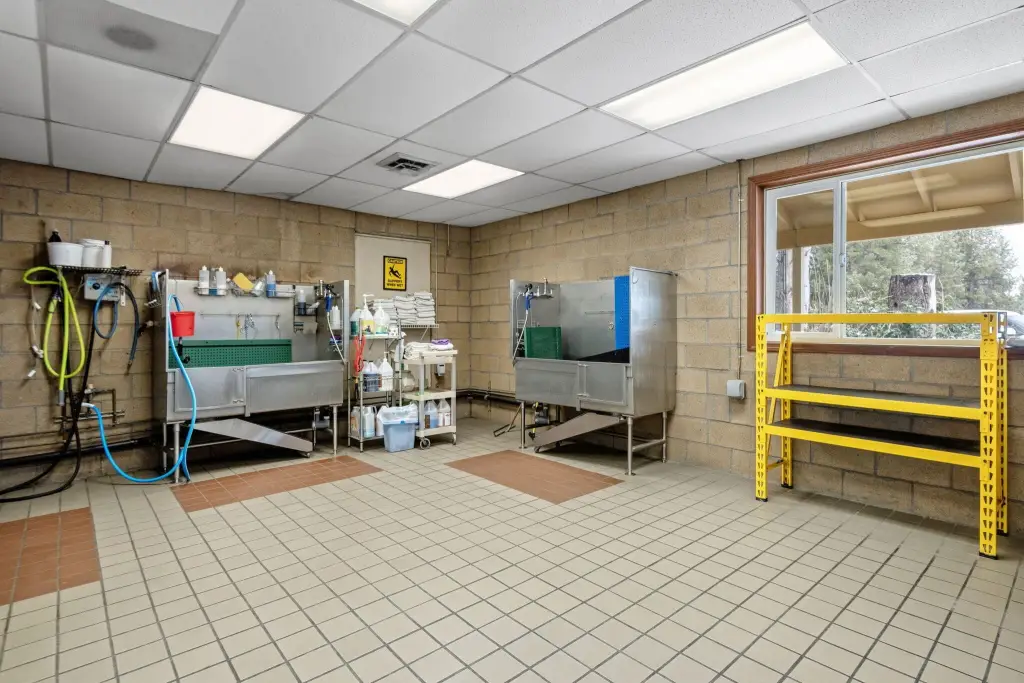 Picture 10