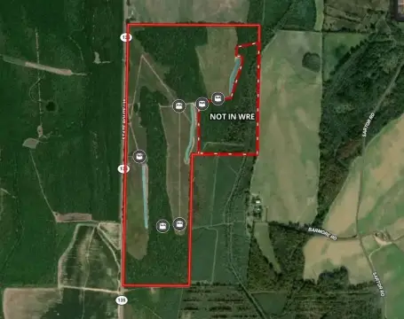 Hunting Land with Hardwood Timber